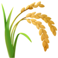 hrc.product-asset.poils-souples-medium